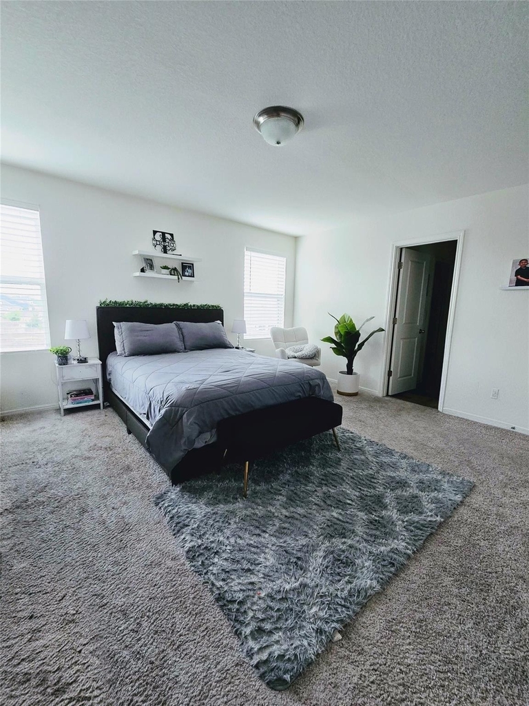 19506 Caymus Dr - Photo 9