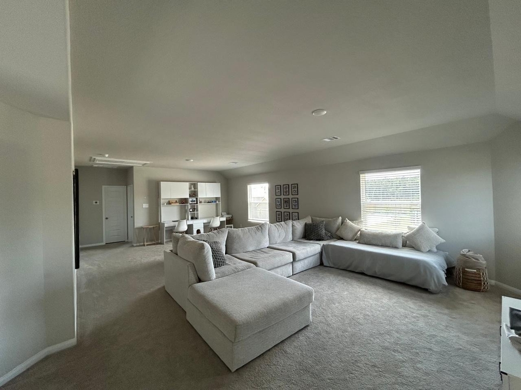 2547 Steelhead Dr - Photo 3