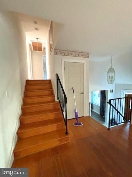 260 Marion Drive - Photo 5