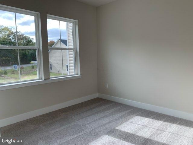 32044 White Tail Drive - Photo 13