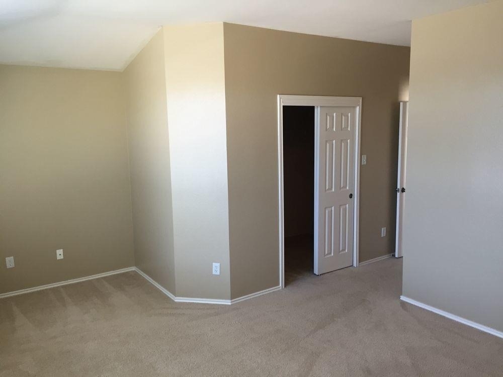 1187 Stone Forest Trl - Photo 8