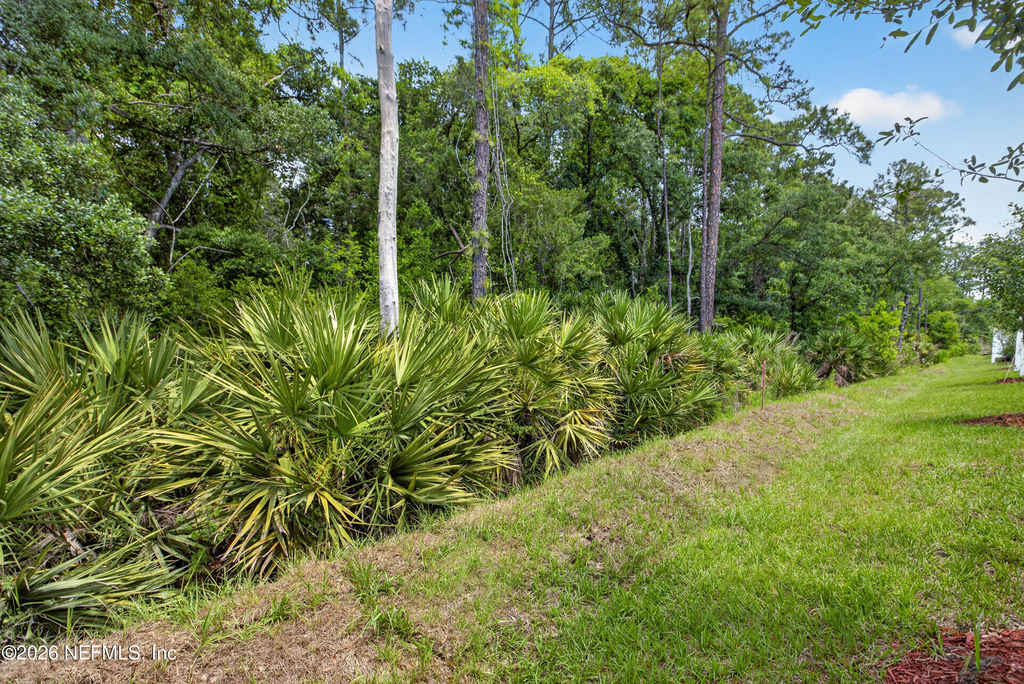 161 Palmetto Ridge Road - Photo 31