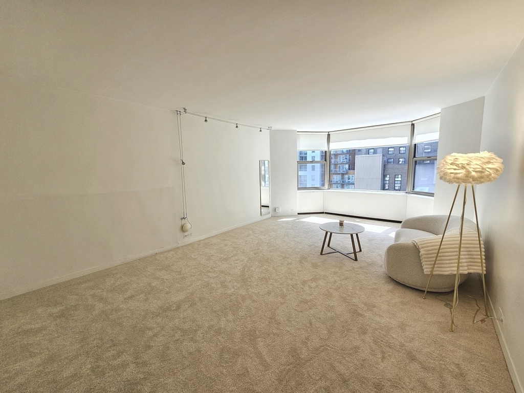 535 N Michigan Avenue - Photo 8