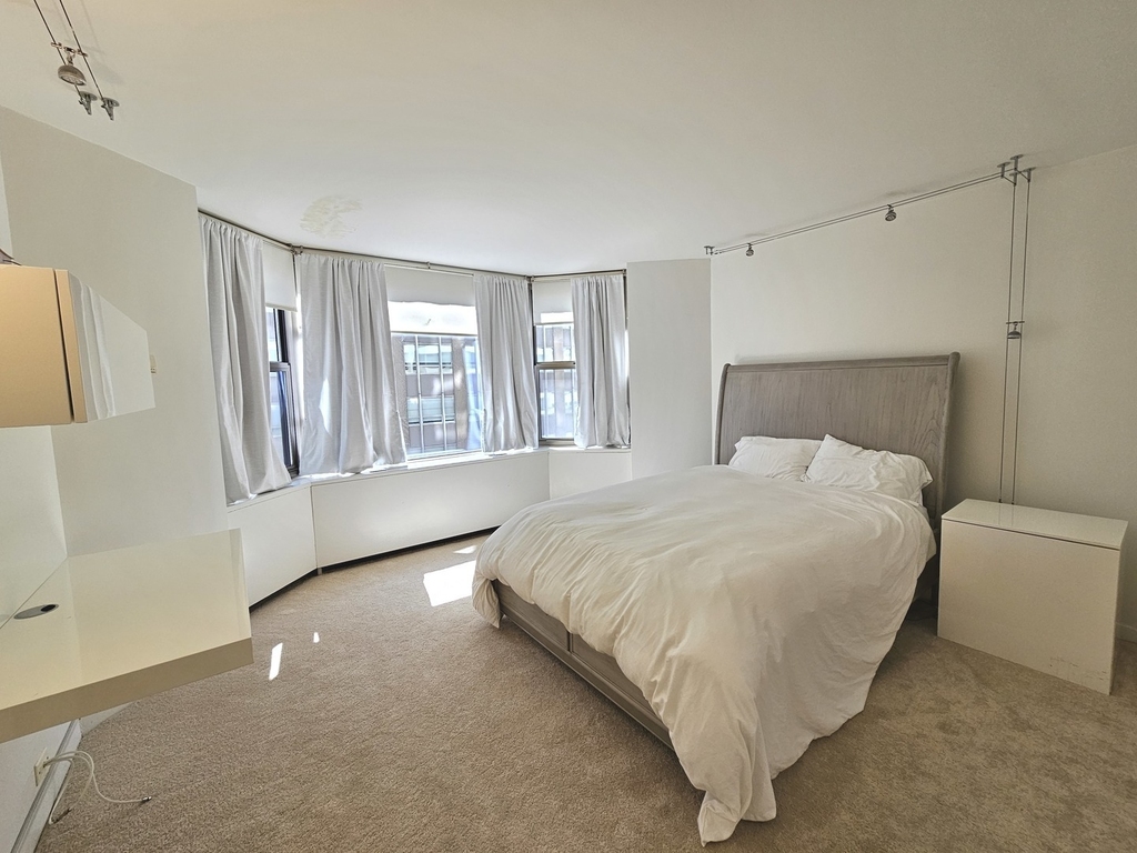 535 N Michigan Avenue - Photo 12