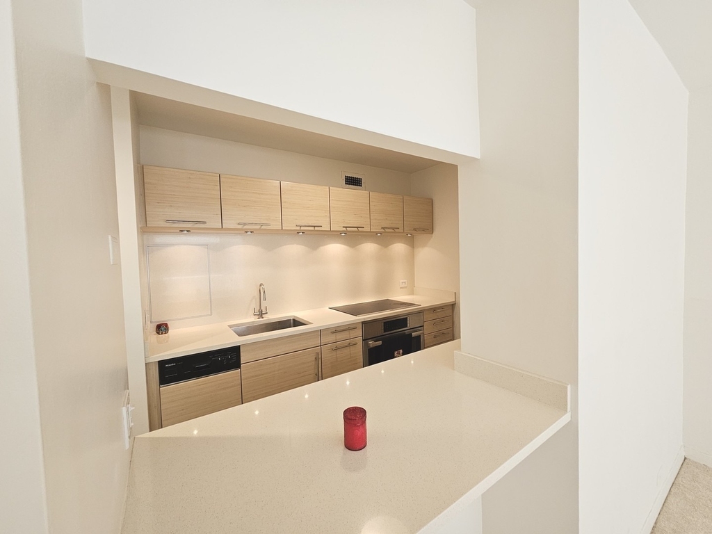 535 N Michigan Avenue - Photo 5