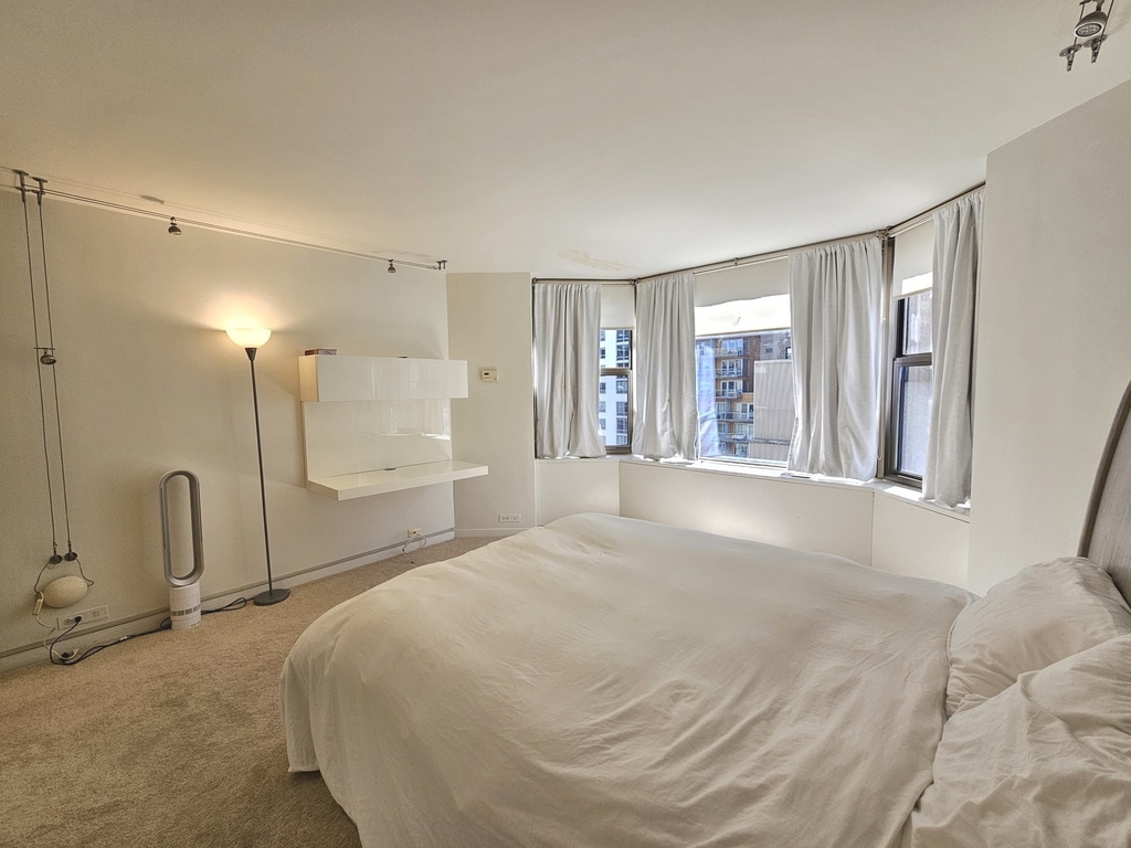 535 N Michigan Avenue - Photo 11