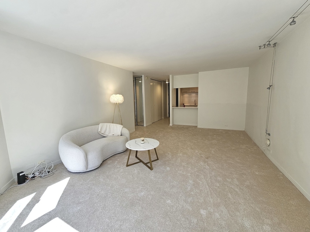 535 N Michigan Avenue - Photo 9