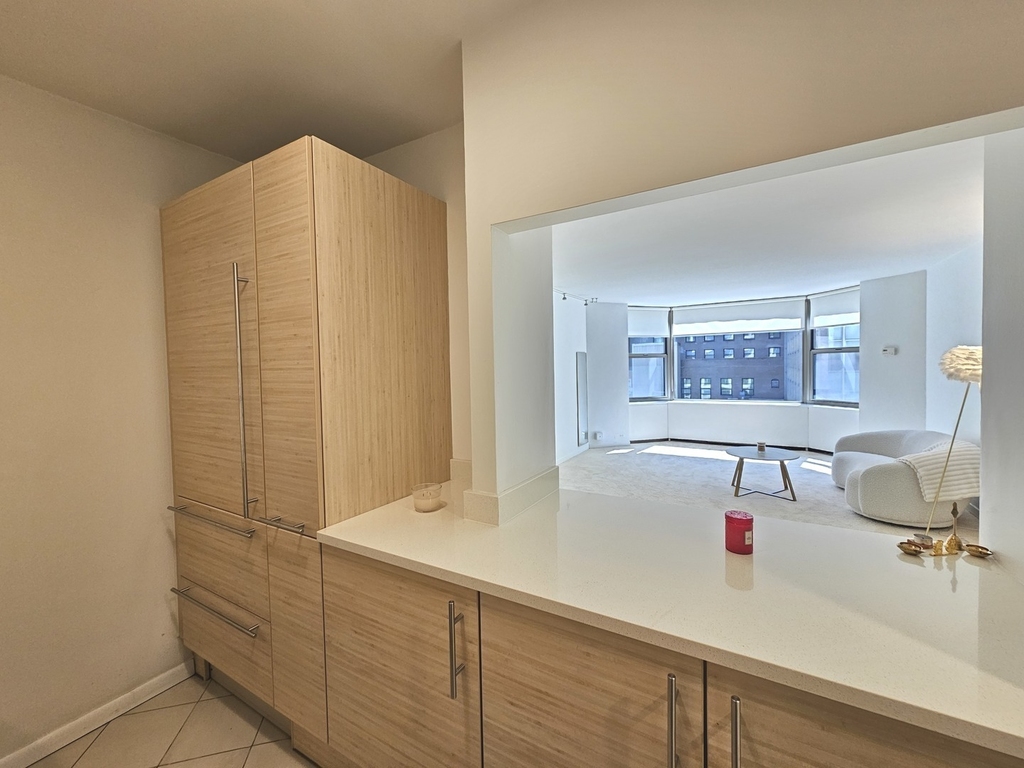 535 N Michigan Avenue - Photo 7