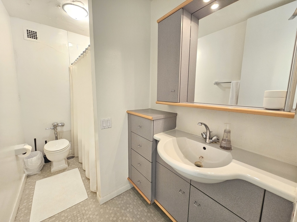 535 N Michigan Avenue - Photo 14