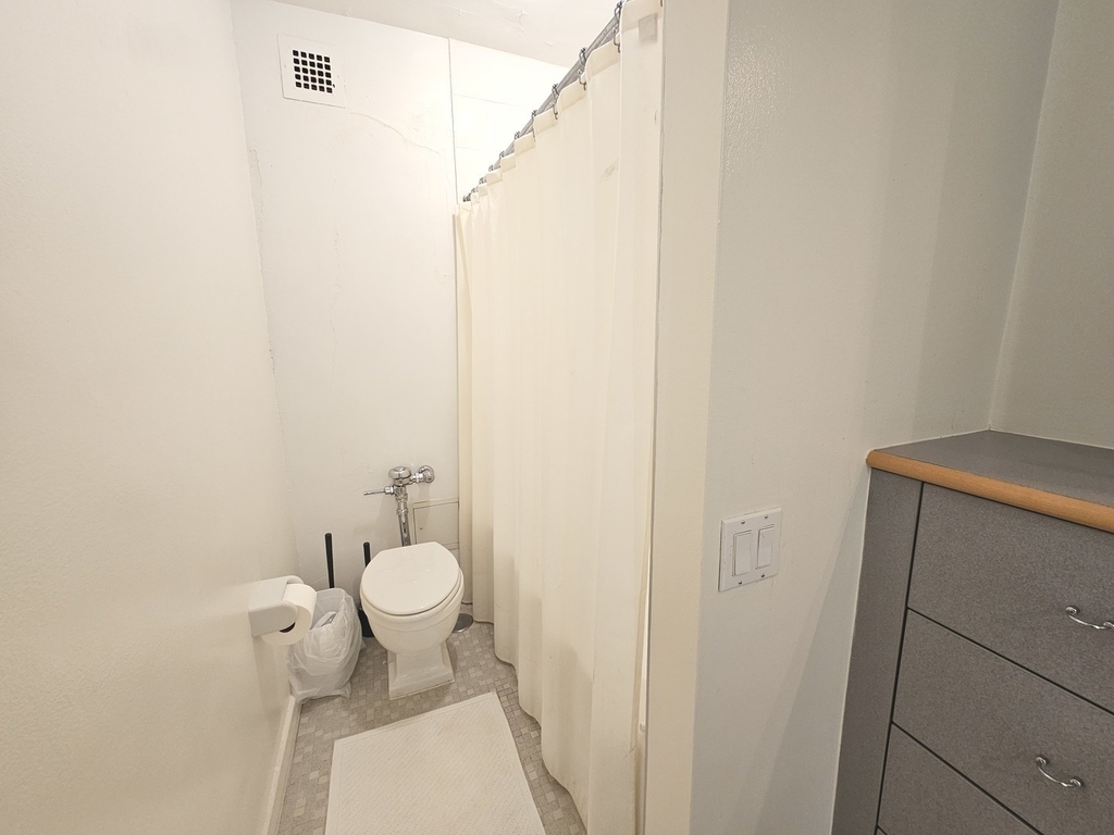 535 N Michigan Avenue - Photo 13