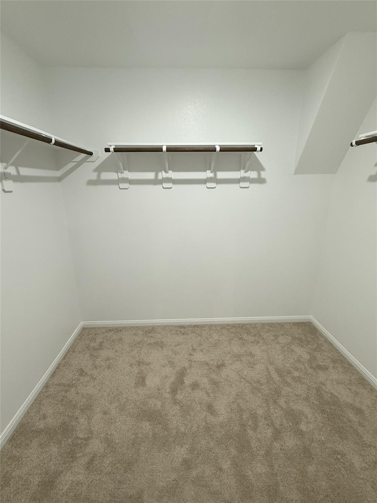 23406 Wagon Cart Road - Photo 15