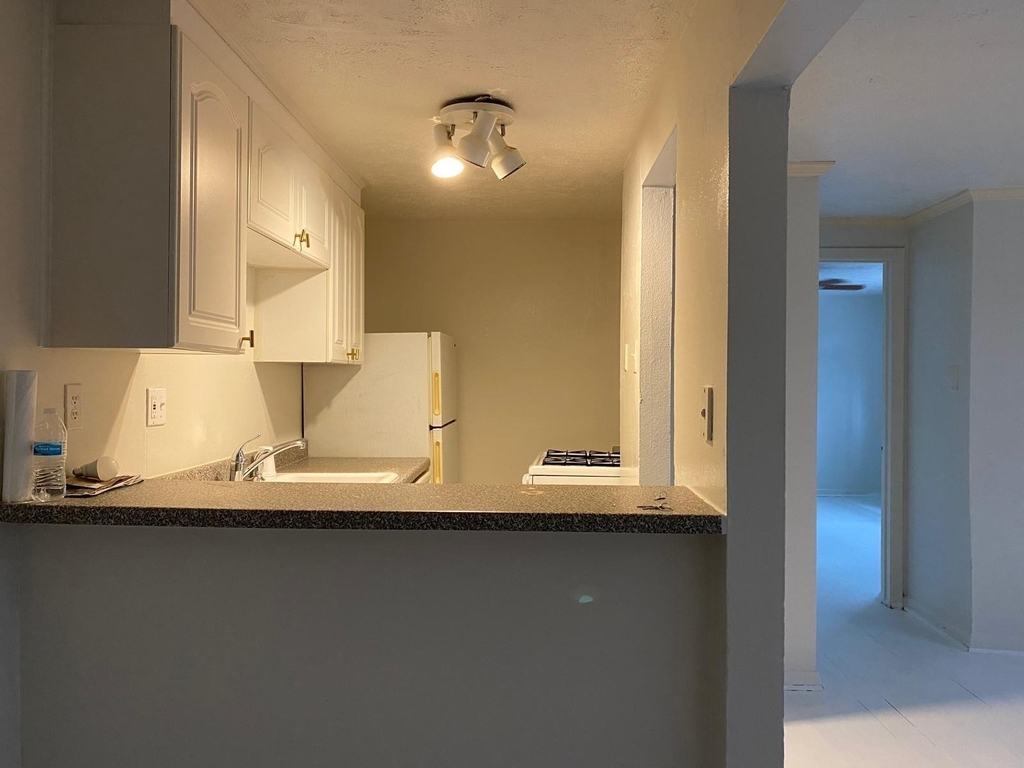 1909 Colquitt Street - Photo 2