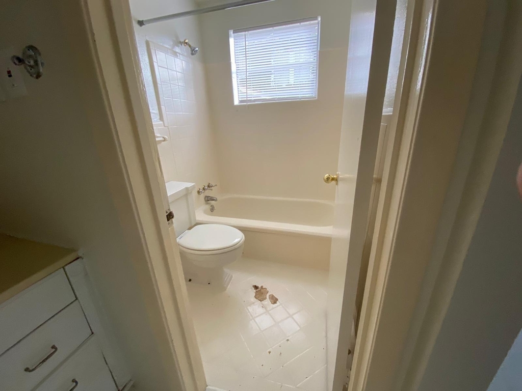 1909 Colquitt Street - Photo 11