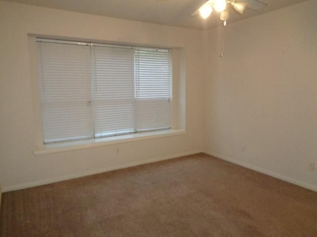 10326 Thornmont Lane - Photo 9