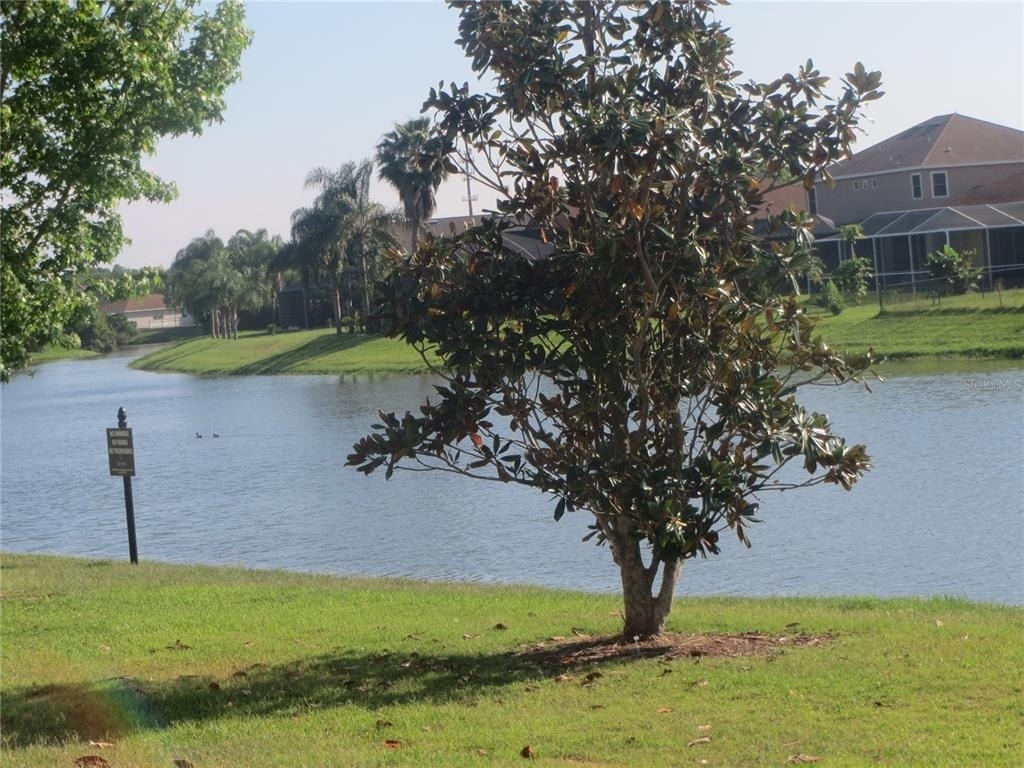 6925 Towering Spruce Drive - Photo 1