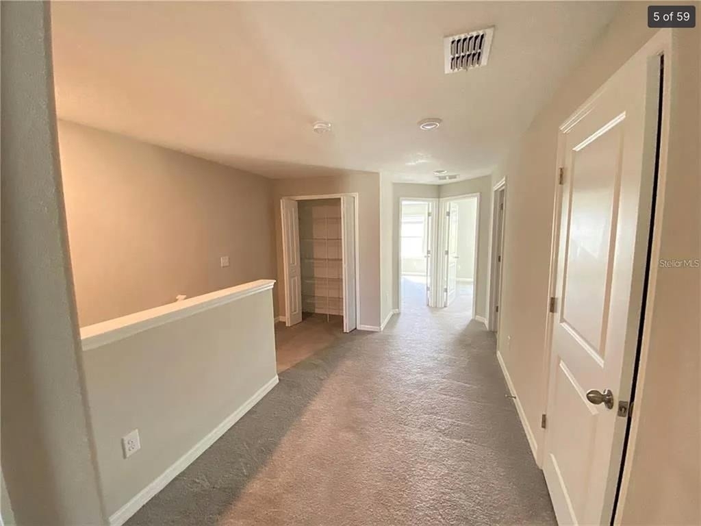 3810 Cat Mint Street - Photo 4