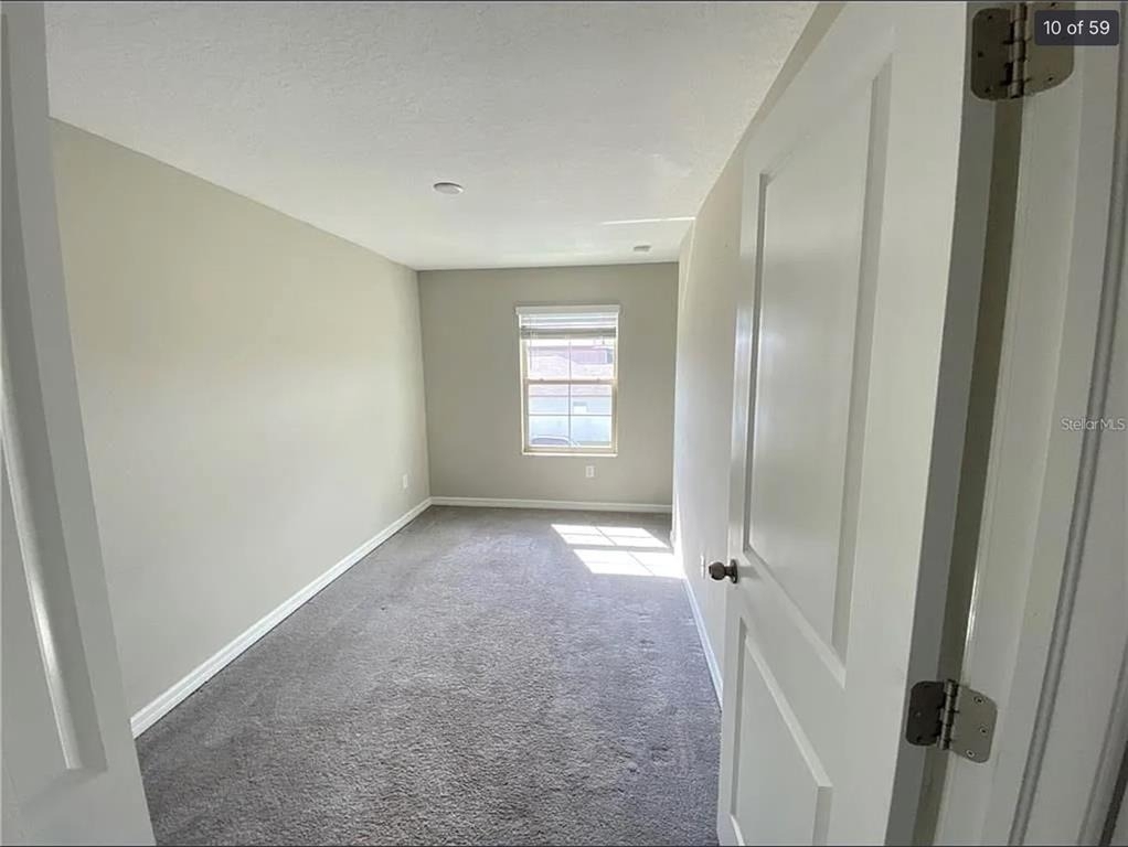 3810 Cat Mint Street - Photo 9