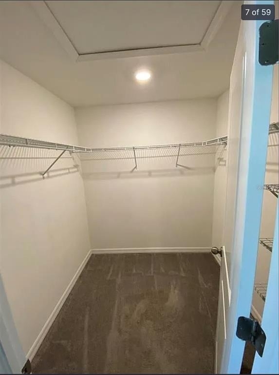 3810 Cat Mint Street - Photo 6