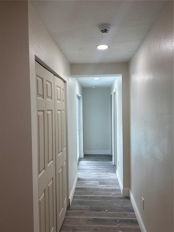 1716 Sprucewood Lane - Photo 4