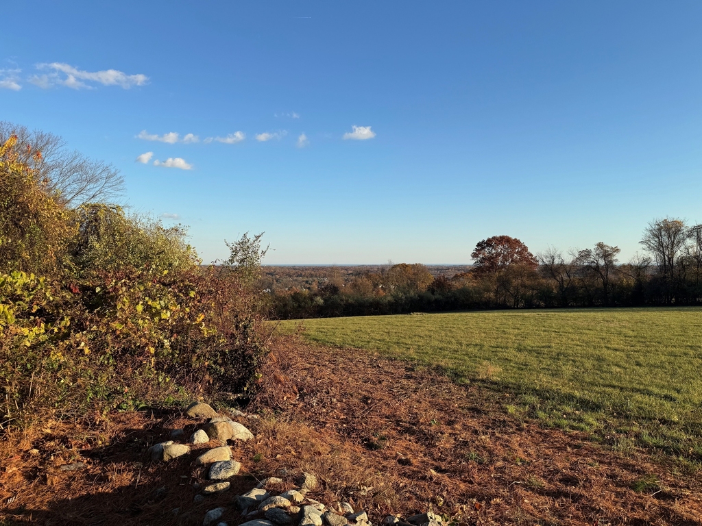 460 Asbury Ridge - Photo 17