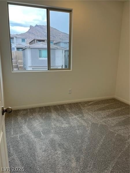 1550 Rock Kestrel Street - Photo 19