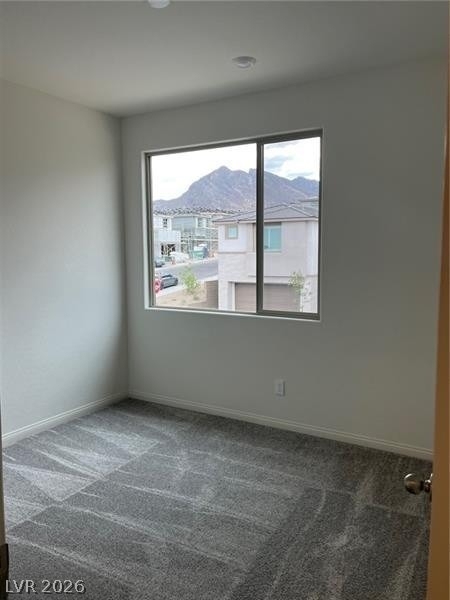 1550 Rock Kestrel Street - Photo 11