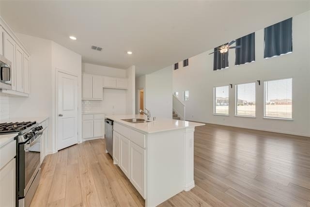 3750 Honey Daisy Drive - Photo 9