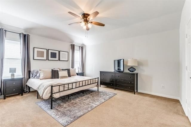 8421 Green Ash Drive - Photo 6