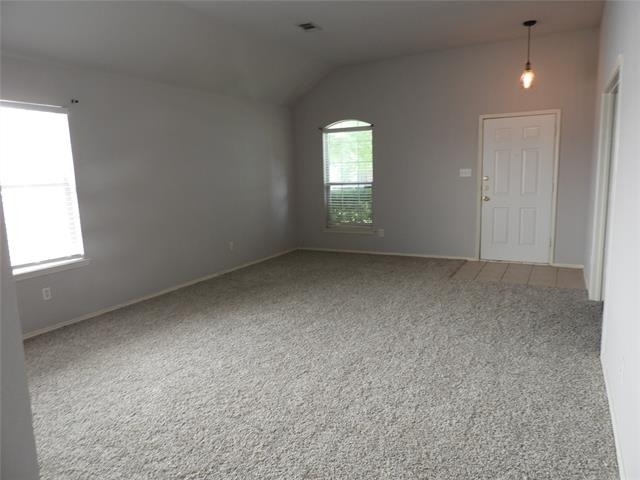 9132 Harrisburg Lane - Photo 1