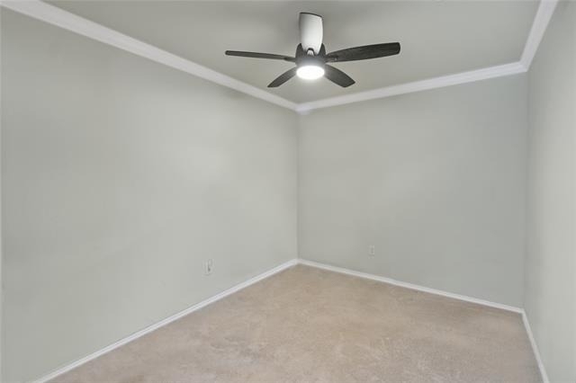 865 Table Rock Street - Photo 6