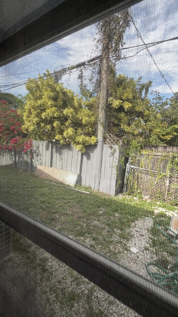 47 Se 13th Street - Photo 8