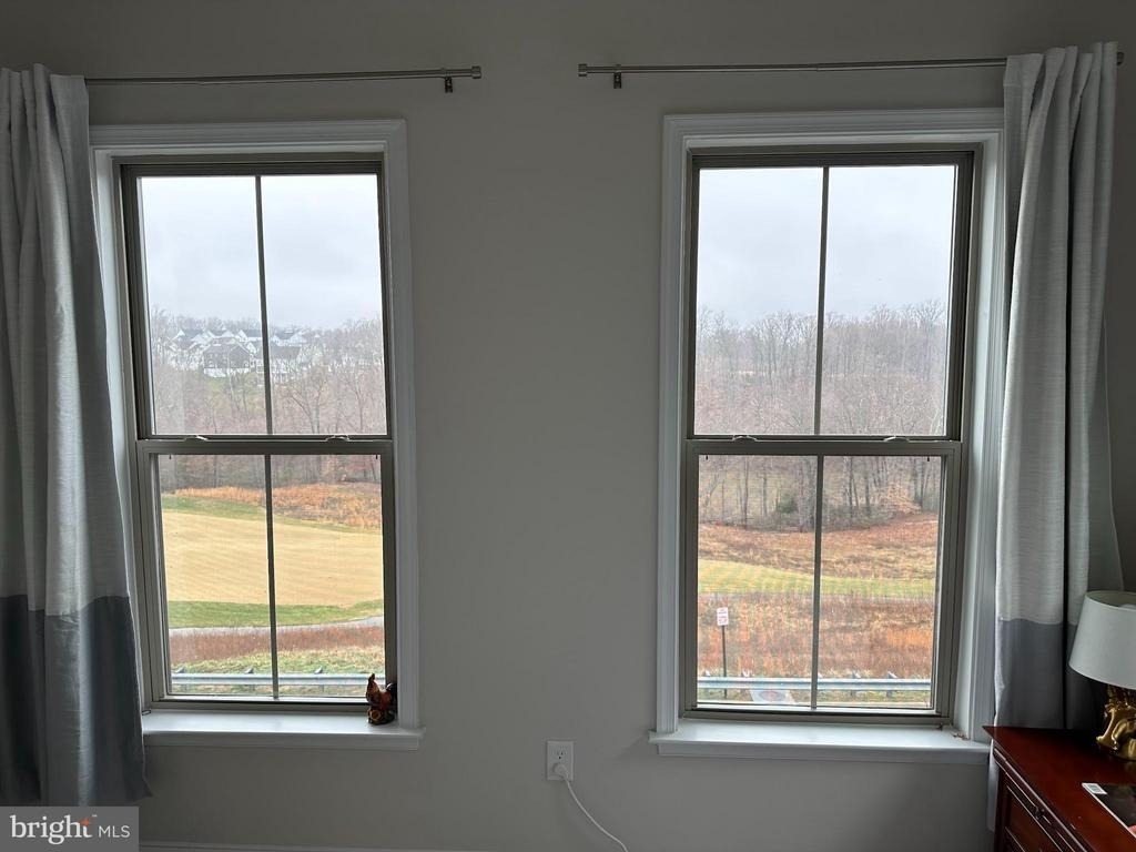 17227 Branched Oak Road - Photo 13