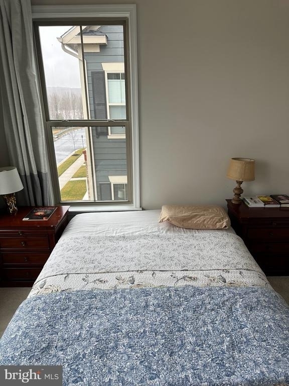 17227 Branched Oak Road - Photo 16