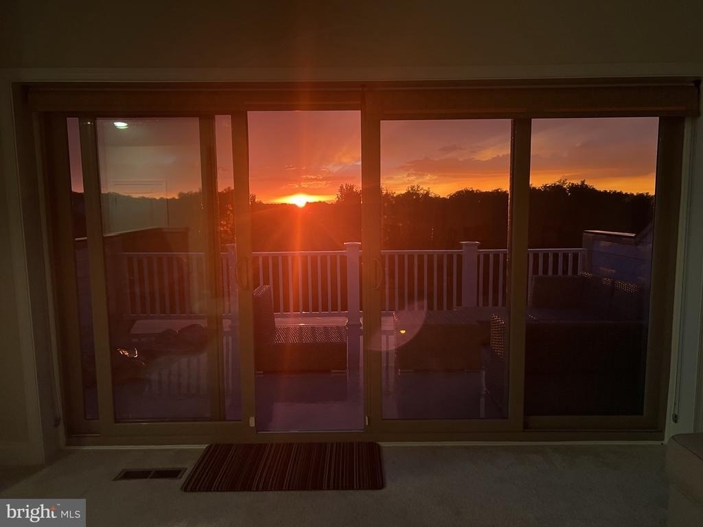 17227 Branched Oak Road - Photo 3