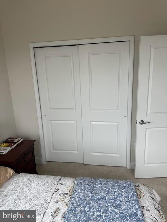 17227 Branched Oak Road - Photo 15