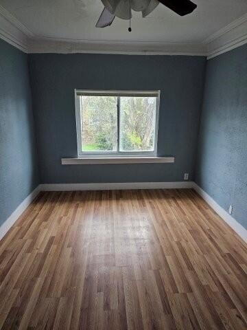 2411 W Grand Street - Photo 5