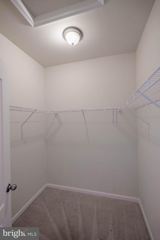 5004 Forest Pines Drive - Photo 33