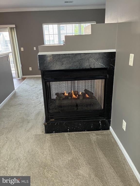 313 Cross Green Street - Photo 6