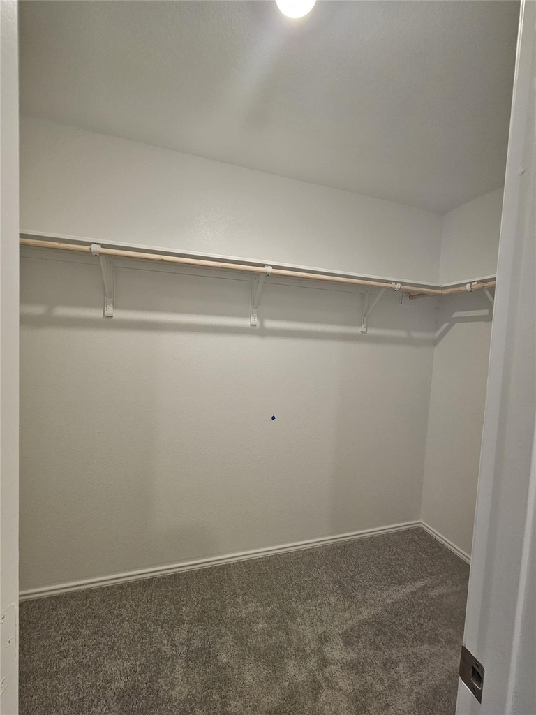 2304 Blizzard Dr - Photo 9