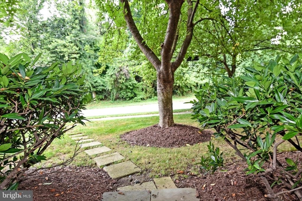 5153 Westbard Avenue - Photo 50