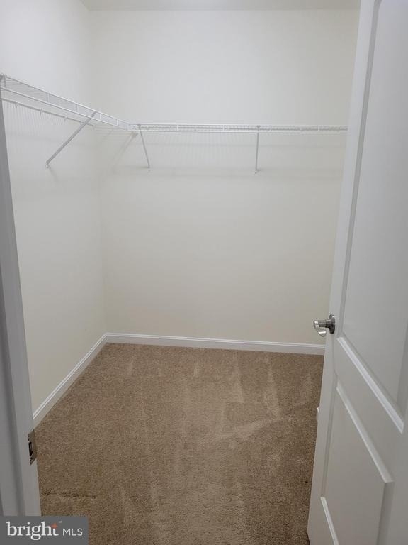 167 Sweeping Mist Circle - Photo 15