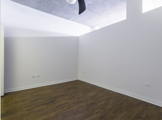 700 N Larrabee Street - Photo 20