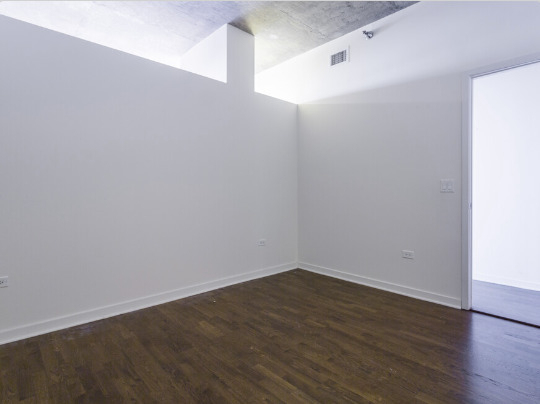 700 N Larrabee Street - Photo 23