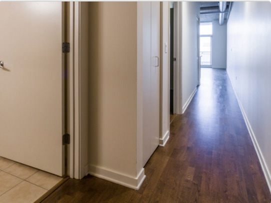 700 N Larrabee Street - Photo 8