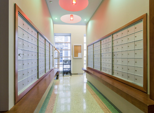 700 N Larrabee Street - Photo 4