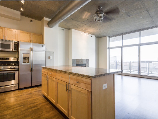 700 N Larrabee Street - Photo 11