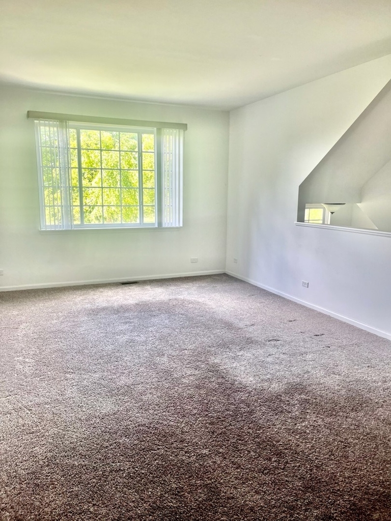 4323 Savoy Lane - Photo 6