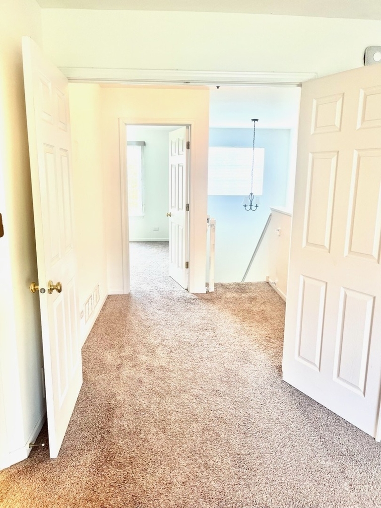 4323 Savoy Lane - Photo 4