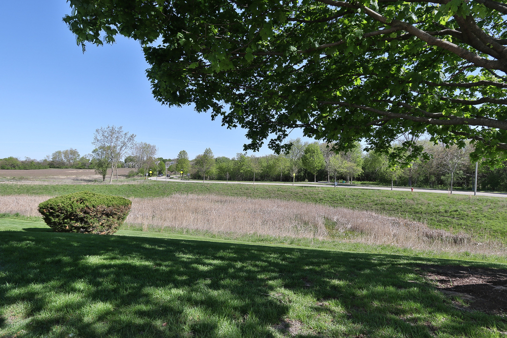 2232 Dawson Lane - Photo 19