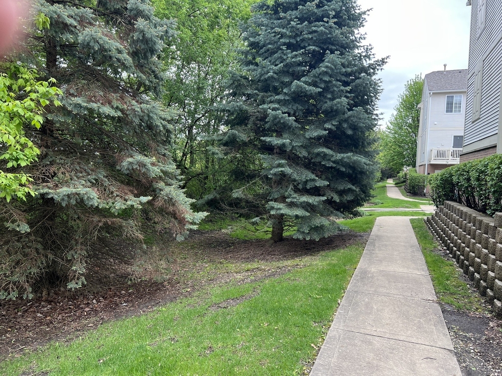 863 Pheasant Trail - Photo 21